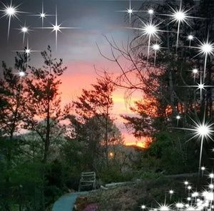 Meet your Posher, Jane